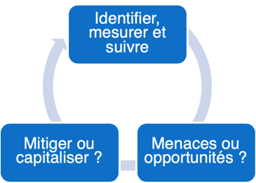 Schéma gestion de risque