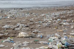 Microplastiques