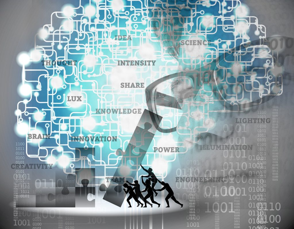 l'adn de l'entreprise innovante