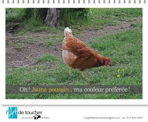 Calendriers 2022 artiste professionnel promotion