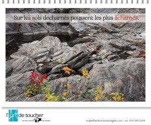 Calendriers 2022 corporatifs photo