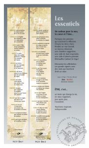 Signets géants les essentiels