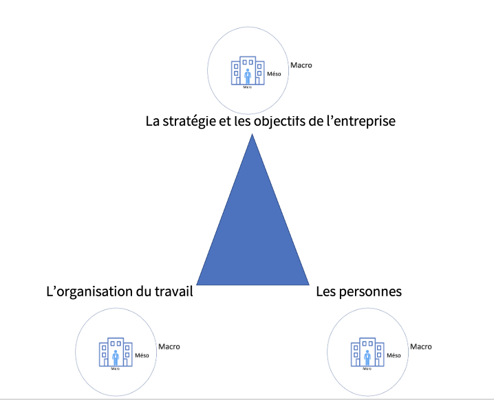 Stratégies et objectifs de l'entreprise