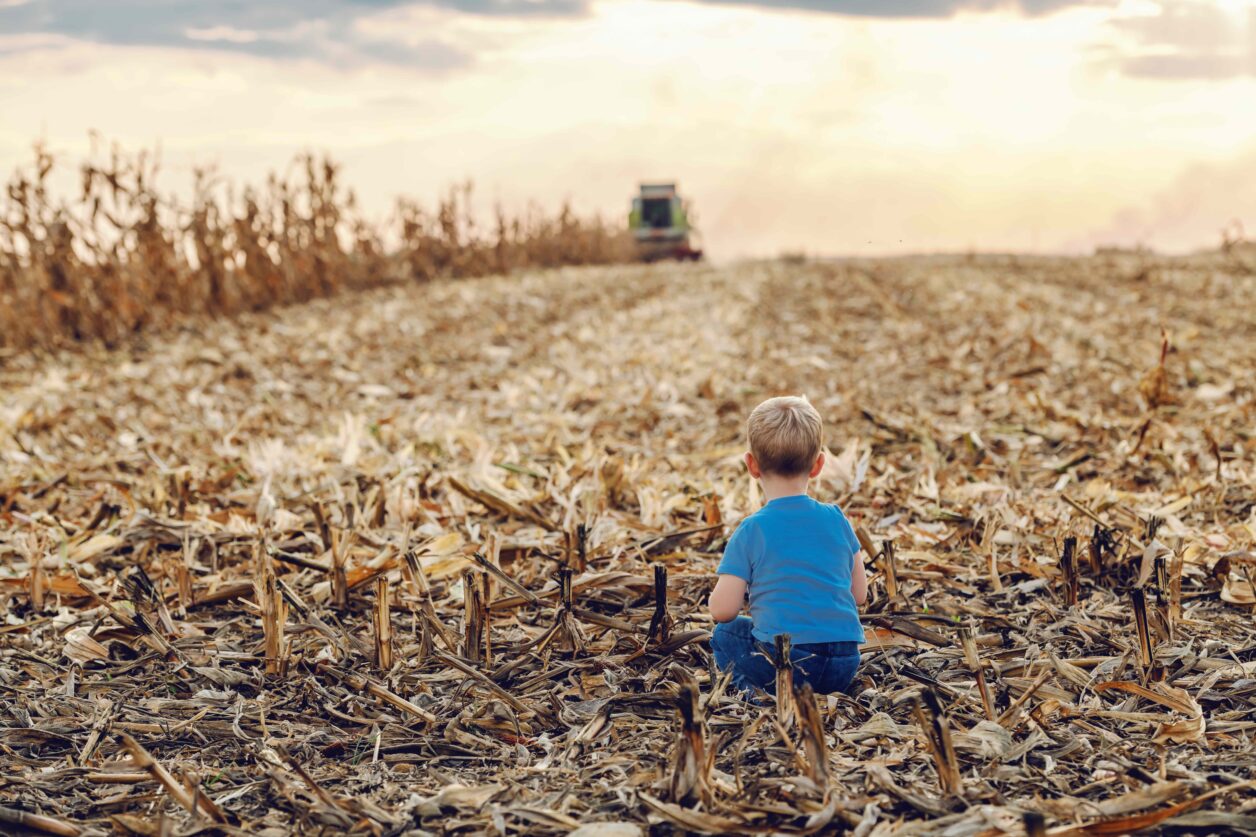 Jeune terre agricole