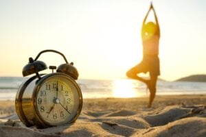 Chronotype, lion, ours, loup, dauphin