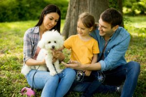 Bonheur, famille, heureux, entrepreneur