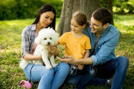 Bonheur, famille, heureux, entrepreneur